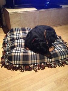 Tie Blanket Dog Bed