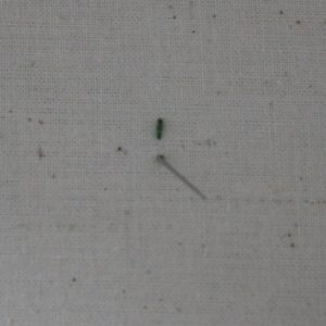Back Stitch Picture 4