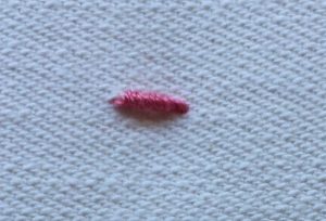 Bullion Stitch Picture 5