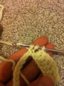 Crochet Ripple Stitch Picture 3