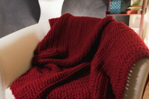Crochet For Beginners Blanket
