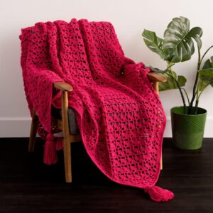 Crochet Shell Pattern Blanket